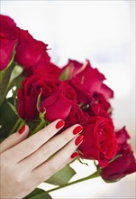 Hand holding bouquet of red roses.