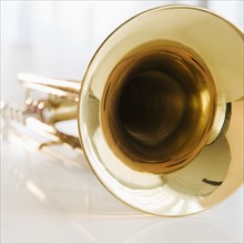 Trumpet. Photographe : Jamie Grill
