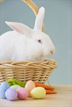 Rabbit in Easter basket.