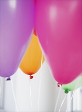 Colorful balloons. Photographe : Jamie Grill