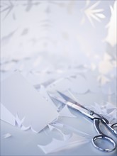 Scissors and paper snowflakes. Photographe : Jamie Grill