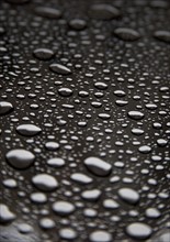 Dew drops. Photographe : fotog