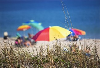 Beach umbrellas by the ocean. Photographe : fotog