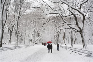 People walking in Central Park in winter. Photographe : fotog