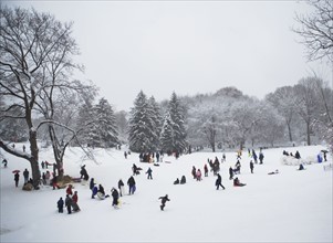 Children sledding in Central Park. Photographe : fotog