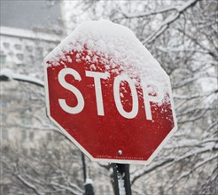 Snow covered stop sign. Photographe : fotog