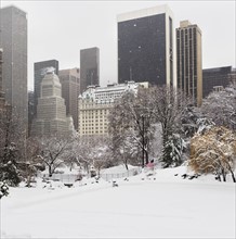 Central Park in winter. Photographe : fotog