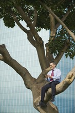 Businessman sitting in tree.
