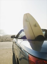 Surfboard in car.