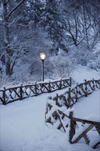 Central park in winter. Photographe : David Engelhardt