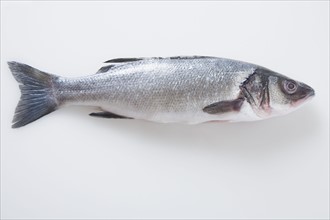 Whole branzini fish. Photographe : Kristin Lee