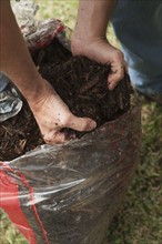 Hands taking garden soil out of bag. Photographe : Stewart Cohen