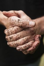 Hands covered in soil. Photographe : Stewart Cohen
