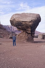 Tourist in front of butte in Arizona desert. Photographe : David Engelhardt