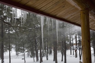 Icicles on log cabin. Photographe : David Engelhardt