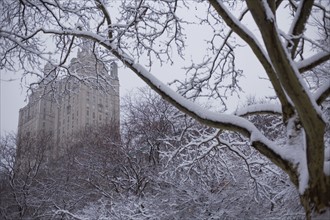 Central park in winter. Photographe : David Engelhardt