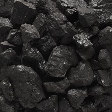 Close-up of coal. Photographe : Mike Kemp