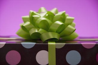 Green bow on a gift. Photographe : Mike Kemp