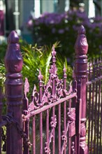 Pink iron fence.