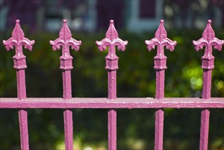 Close up of pink iron fence.