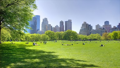 Great lawn in Central Park.
