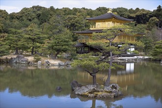 Japanese meditation temple. Photo : Lucas Lenci Photo