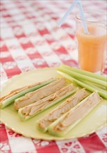Celery and peanut butter on plate. Photo : Jamie Grill