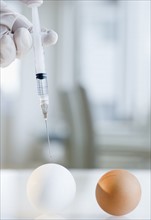Hand putting syringe in egg. Photo : Jamie Grill