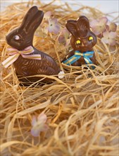 Chocolate Easter bunnies. Photo : Daniel Grill