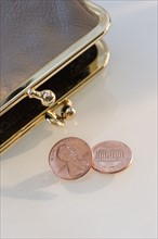 Pennies beside change purse.