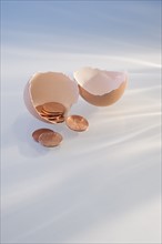 Pennies in a cracked egg shell.