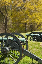 Cannons at Vicksburg National Military Park.
