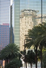 High-rise buildings and palm trees in New Orleans.