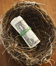 Money in a bird nest. Photo : Jamie Grill