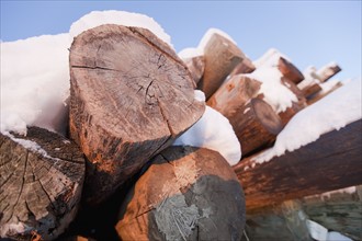 Pile of logs covered in snow. Photo : Dan Bannister