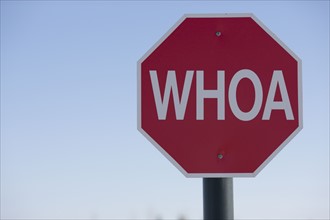 Stop sign with the word WHOA on it. Photo : Dan Bannister