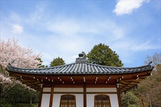 Historical Japanese meditation temple. Photo : Lucas Lenci Photo