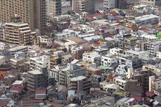 Rooftops in Tokyo Japan. Photo : Lucas Lenci Photo