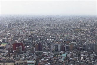 Skyline of Tokyo Japan. Photo : Lucas Lenci Photo