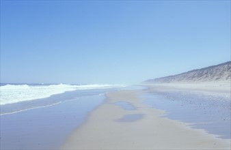 Beach at Cape Cod. Photo : Chris Hackett