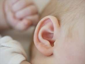 Ear of an infant. Photo : Chris Grill