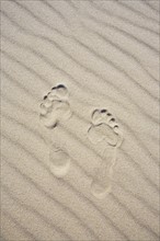 Footprints in the sand. Photo : Chris Hackett