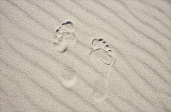 Footprints in the sand. Photo : Chris Hackett