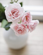 Vase of pink garden roses. Photo : Jamie Grill