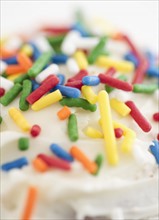 Colorful sprinkles on cupcake. Photo : Jamie Grill