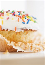 Colorful sprinkles on cupcake. Photo : Jamie Grill