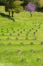 National Cemetery at Vicksburg National Military Park.