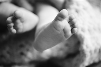 Baby's feet. Photo. Jamie Grill
