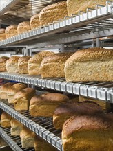 Loaves of bread on shelves in bakery.