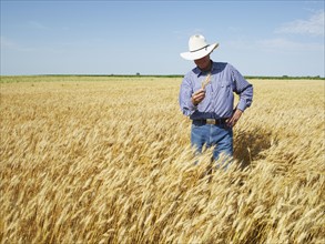 Farmer standing in wheat field. Photo : John Kelly